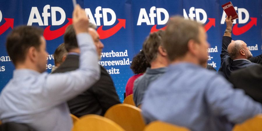 Teilnehmer des Landesparteitags AfD Brandenburg. Die AfD in Brandenburg wird vom Verfassungsschutz als rechtsextremistischer Verdachtsfall eingestuft (Archivbild).