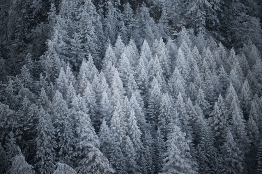 Die Schneefallgrenze liegt am Sonntag bei circa 1500 Meter.