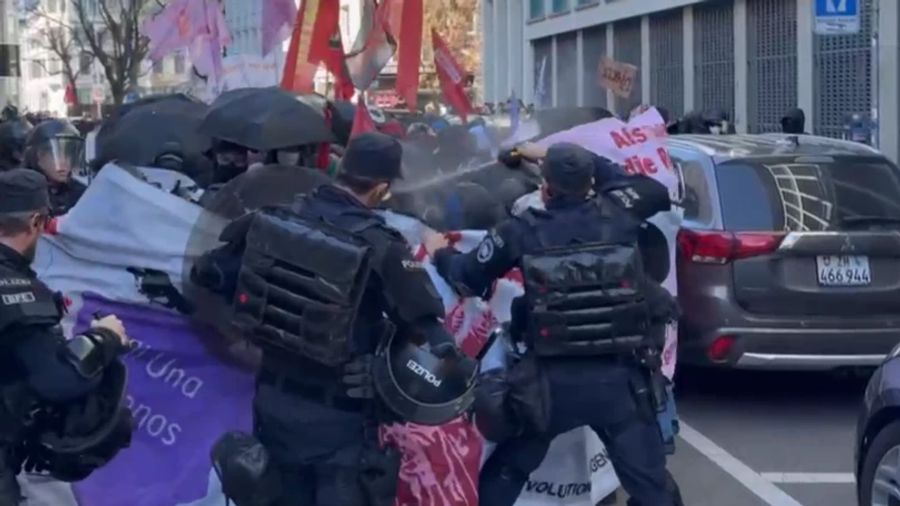 Hier sprüht ein Polizist offenbar Pfefferspray in den Demonstrationszug.