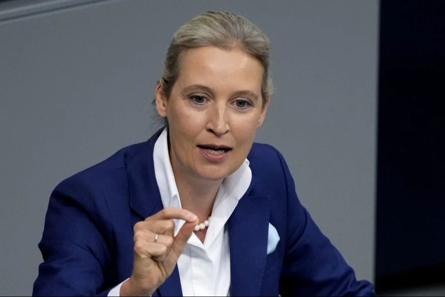 Es soll sogar zu einem Gespräch zwischen ihm und der AfD-Parteichefin Alice Weidel kommen.