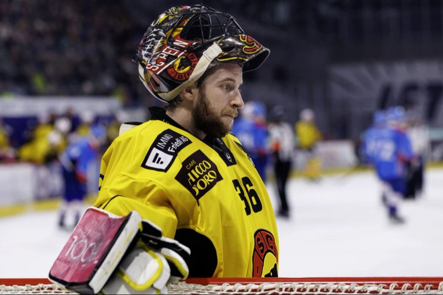 sc bern