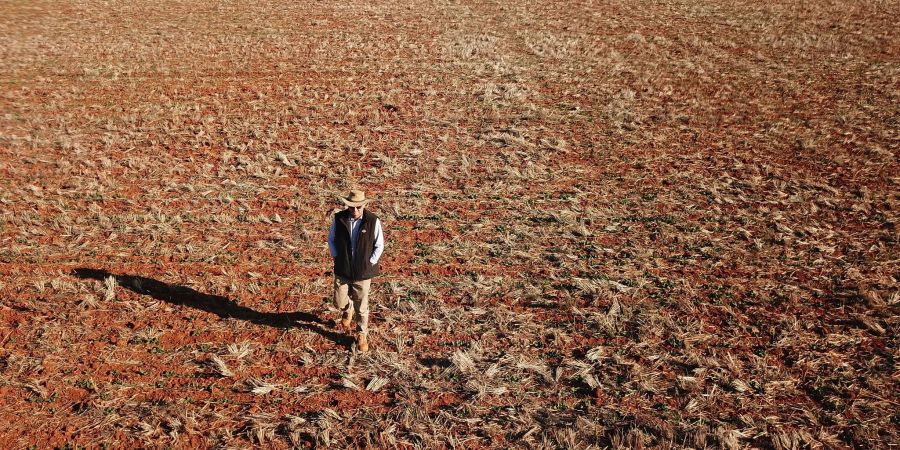 Ein Getreidebauer geht während einer Dürreperiode in Australien 2018 über sein vertrocknetes Rapsfeld. (Archivbild)