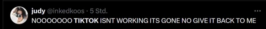 Ein anderer Nutzer fordert in einem emotionalen Ausruf Tiktok zurück.