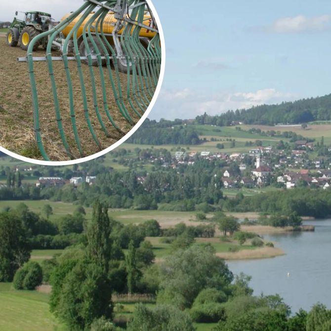 Gülle Flachmoor Aargau Hallwilersee