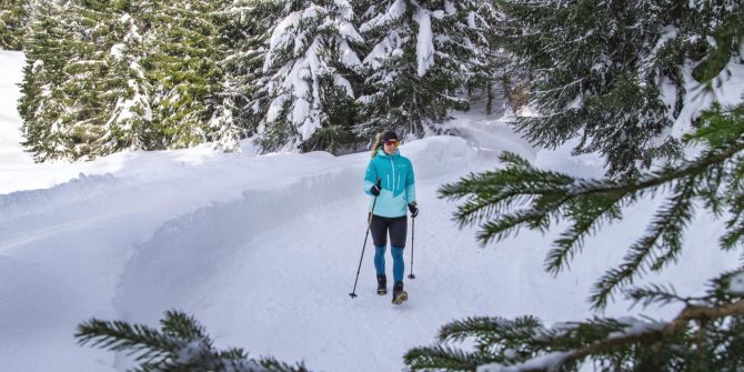 Nadelbäume Frau Schnee Ski