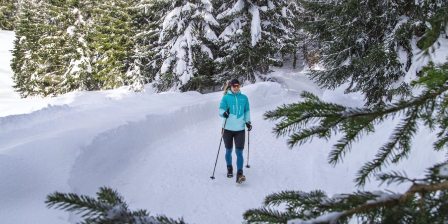 Nadelbäume Frau Schnee Ski