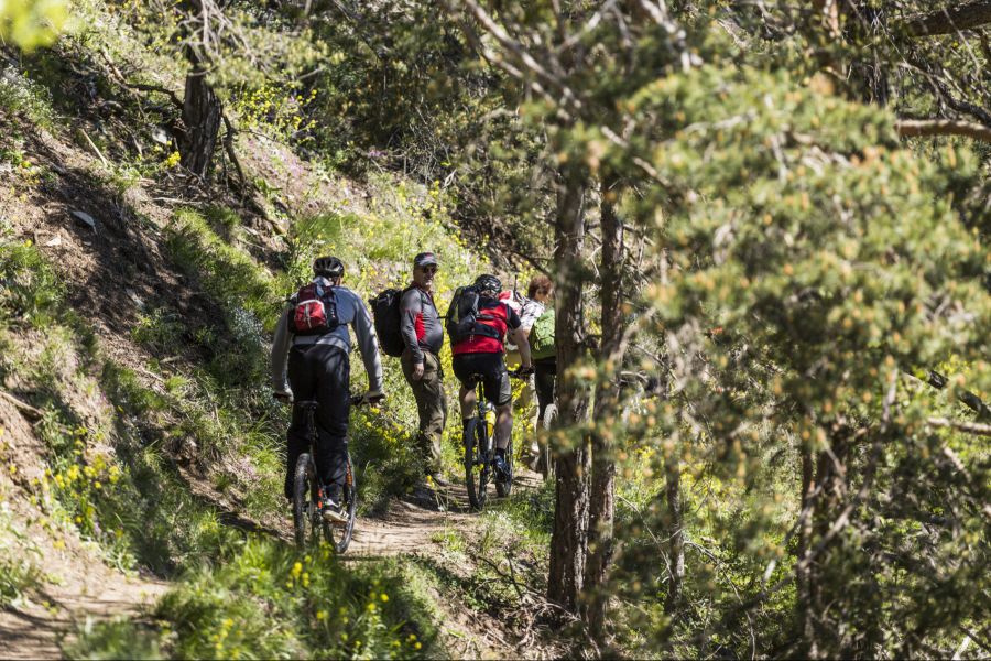 Bike-Trail