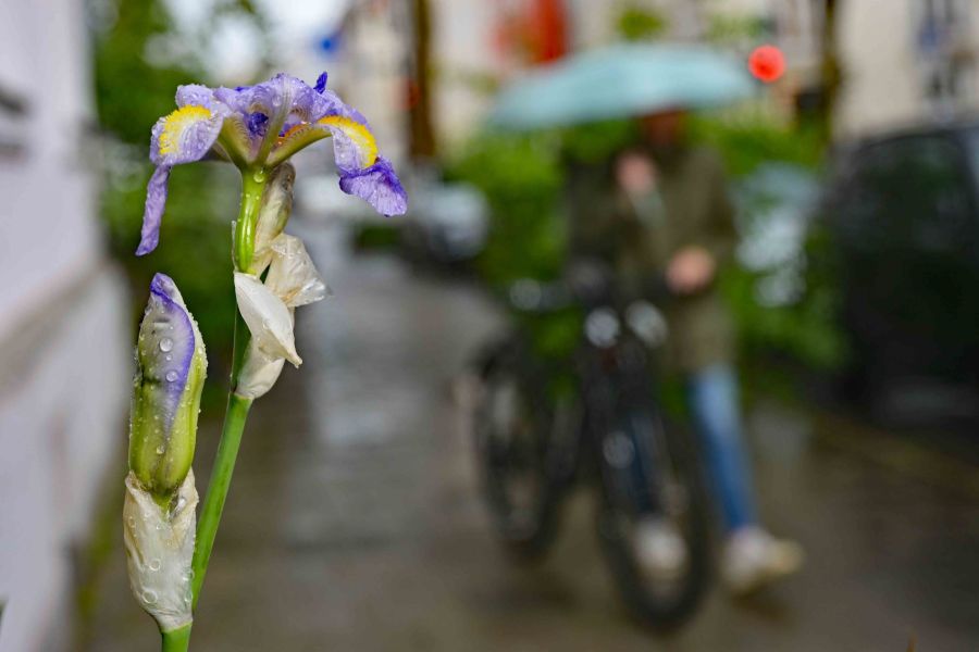 Pünktlich zum Monatswechsel kippt die Wetterlage, unbeständige Gewitter und Schauer sind wahrscheinlich.