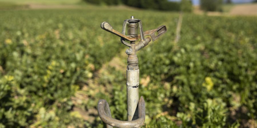 In Bellmund und Ipsach im Seeland soll landwirtschaftlich genutztes Gebiet unter den Grundeigentümern neu verteilt werden. (Symbolbild)