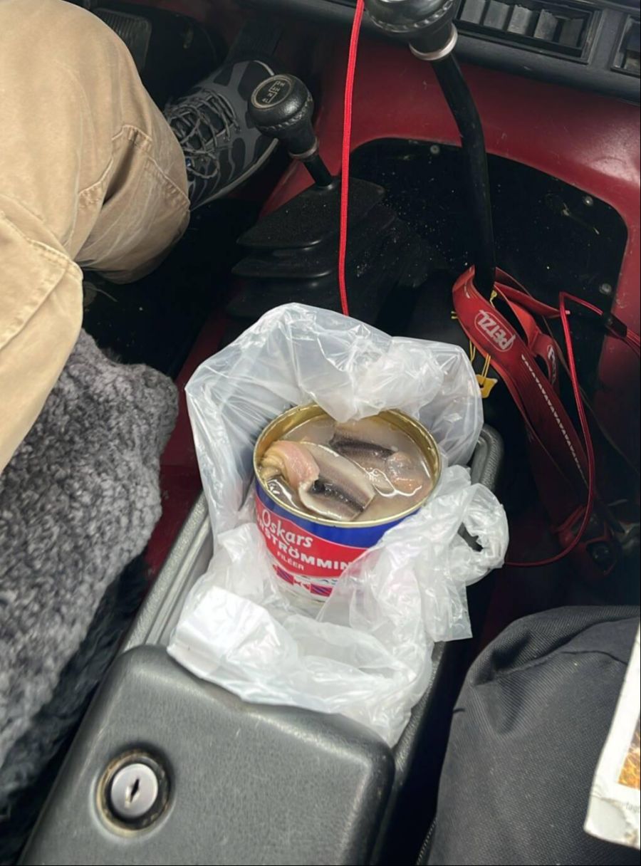 Göteborg, Schweden: Bei einer Challenge mussten 100 Kilometer mit einer geöffneten Büchse Surströmming zurückgelegt werden.