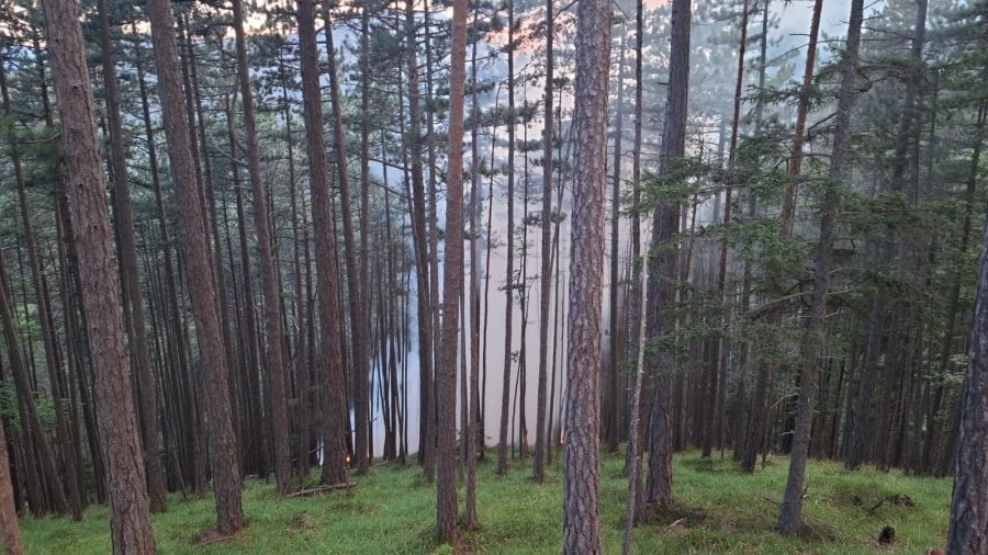 Waldbrand