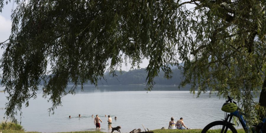 Hitze Bäume see