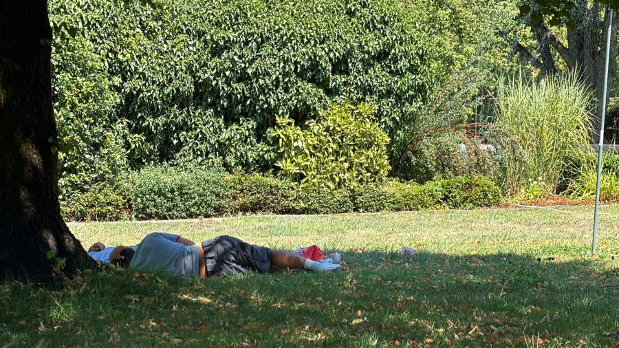 Bauarbeiter ruhen sich in der Mittagspause auf dem Friedhof unter einem Baum im Schatten aus.