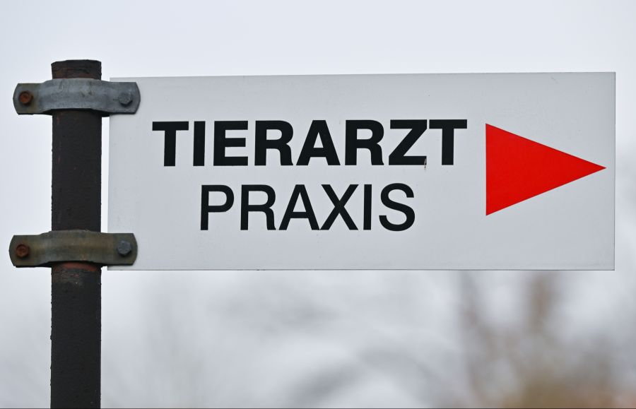 Wegen des Tierärzte-Mangels kann er keine weiteren Fachpersonen anstellen.