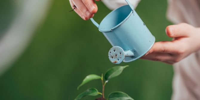 Pflanze Giesskanne Wasser Hitze