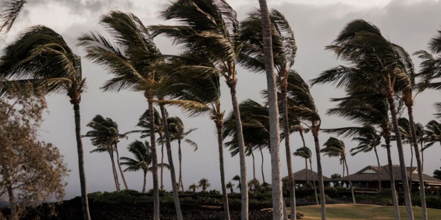 Menschen spazieren auf einem Weg im Waikoloa Beach Resort entlang, während sich der Tropensturm Lala auf der Big Island von Hawaii verstärkt. Foto: Stephen Lam/San Francisco Chronicle...