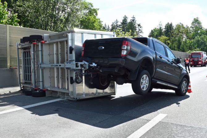 Kuh Unfall