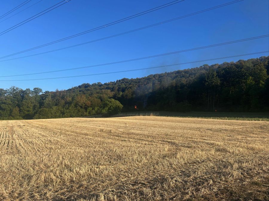 Ein Übergreifen der Flammen auf den umliegenden Wald konnte verhindert werden.