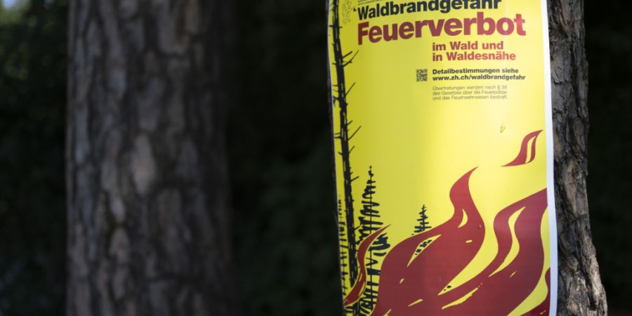 Im Kanton Schwyz kann am Nationalfeiertag kein Feuerwerk gezündet werden. (Symbolbild)