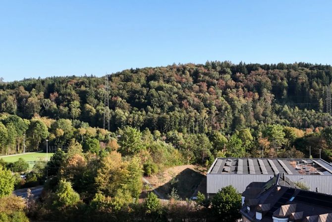Rheinfelden