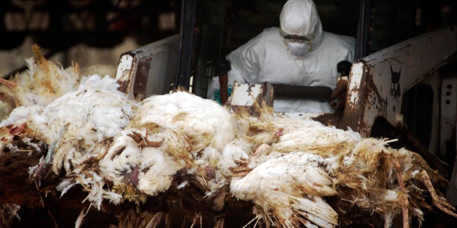 In Deutschland ist die Lage besonders angespannt.