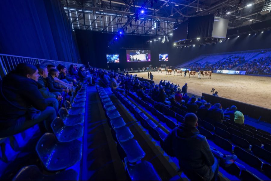 Sunibelle Dempsey Esprit EX-96 wurde 2024 zum dritten Mal nach 2019 und 2020 Grand Champion an der Swiss Expo. (Symbolbild)