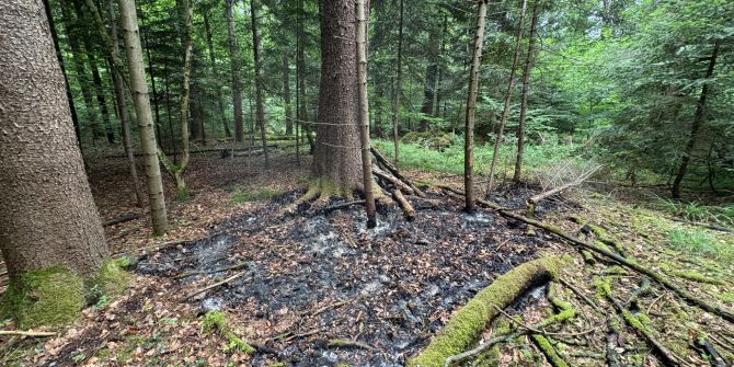 Brand in Wald