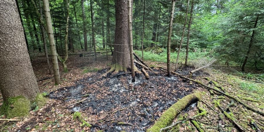 Brand in Wald