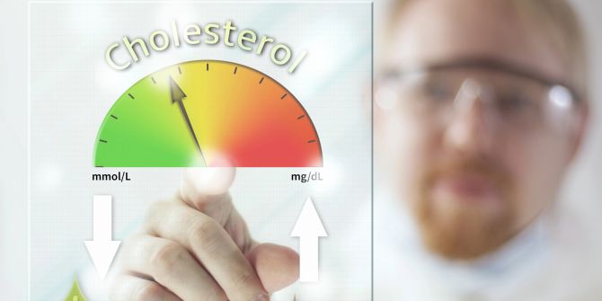 cholesterinspiegel