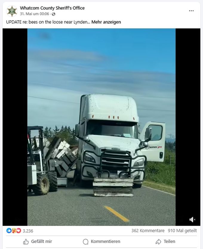 Die Bienenstöcke waren von einem Truck gefallen. Bienen Laster