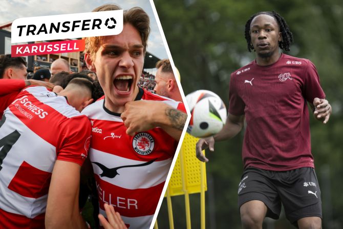 Transfer-Karussell
