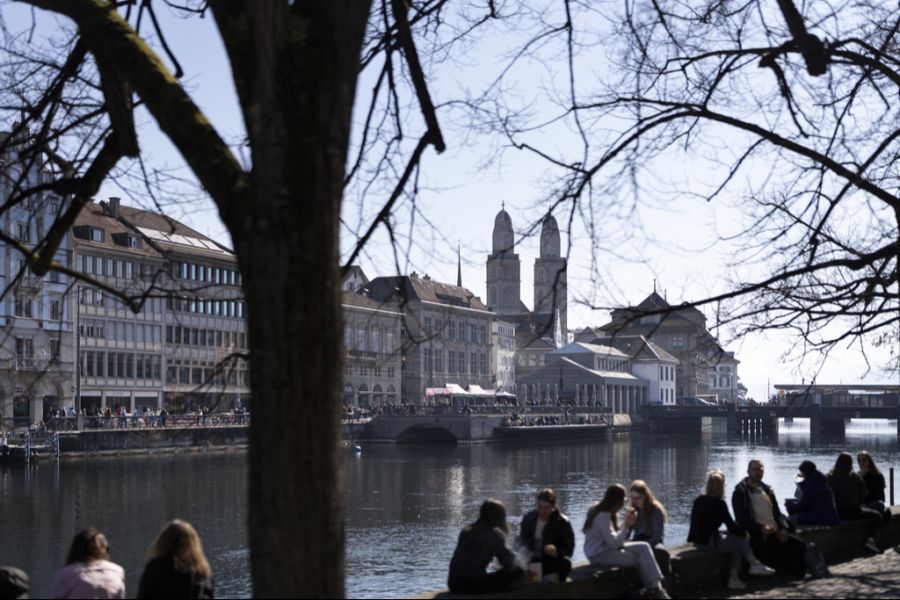 Der Erlös des Nummernschilds fliesst in die Zürcher Staatskasse. (Symbolbild)