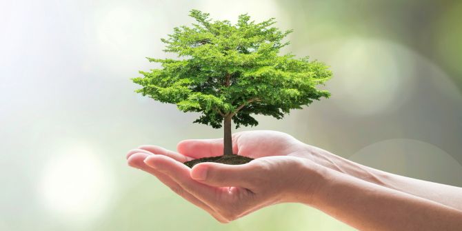 Baum Hände Setzling klein