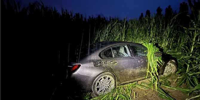 bmw im maisfeld