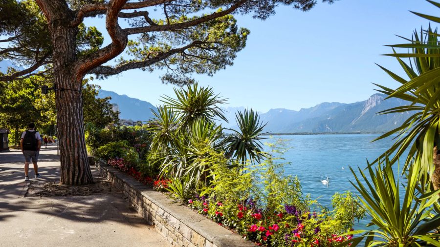 In Montreux herrscht das ganze Jahr über ein angenehm mildes Mikroklima, das optimale Bedingungen für einen Ausflug bietet.