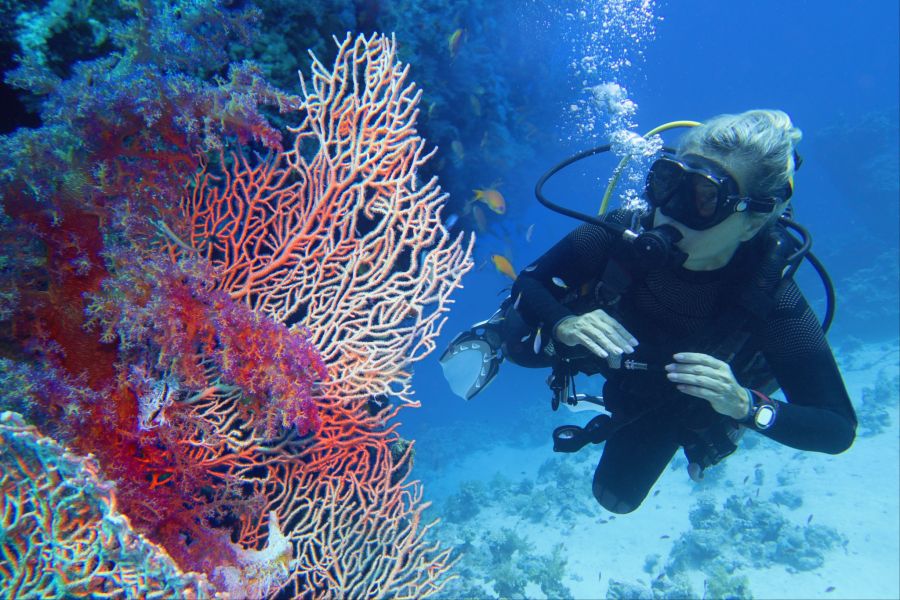 Bei einem Besuch in Marsa Alam gehört das Erkunden der Unterwasserwelt dazu.