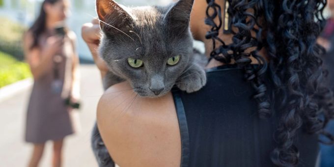 Sophie wurde wieder mit ihrem Besitzer vereint. Sophie