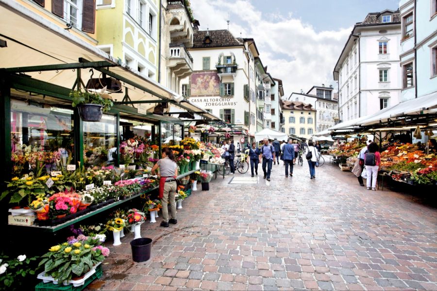 Markt Innenstadt Blumen Menschen