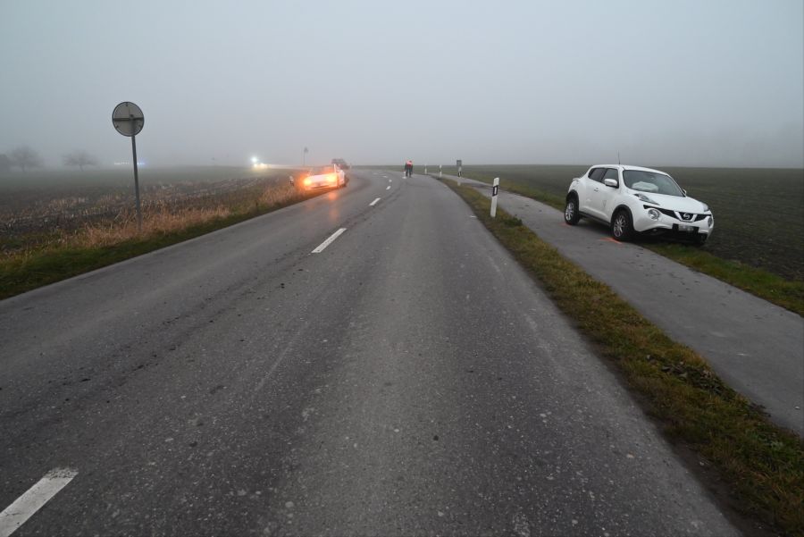 Der Verursacher wurde als fahrunfähig eingestuft.