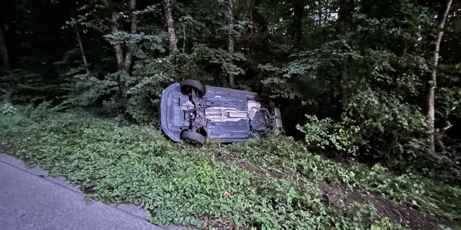 Selbstunfall Zetzwil