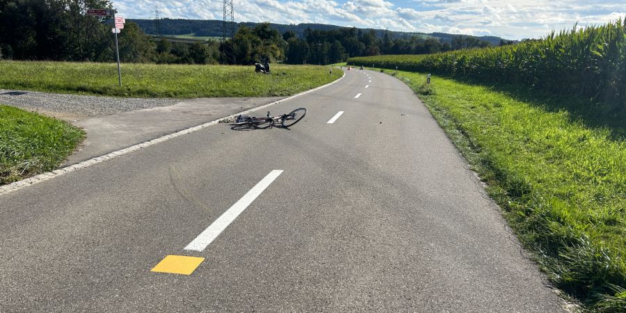 Kollision Neuwilen