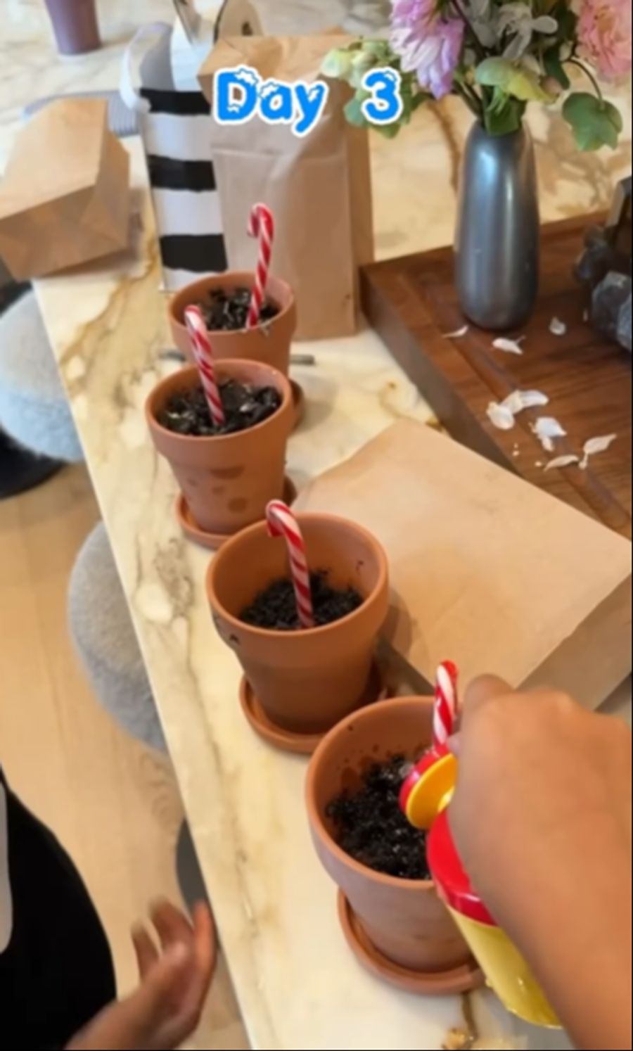 Die Zuckerstangen werden von Tag zu Tag grösser. Dass ihre Mama dahintersteckt, das wissen die Kinder nicht.