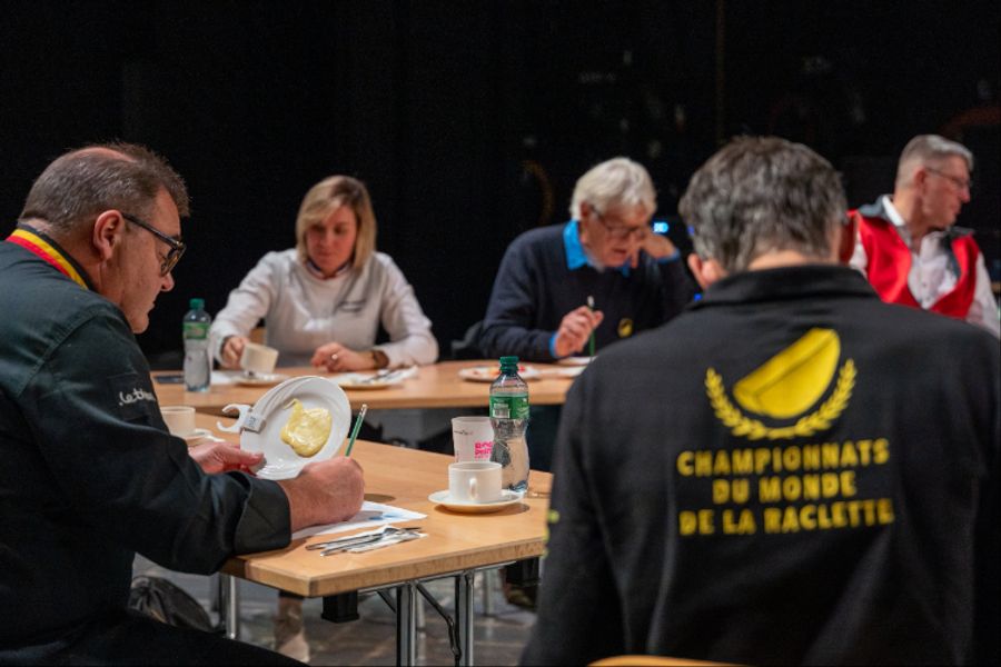 Käse Jury Tische Konzentration