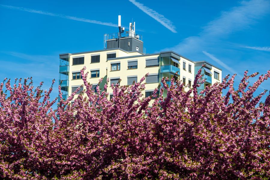 Immobilien