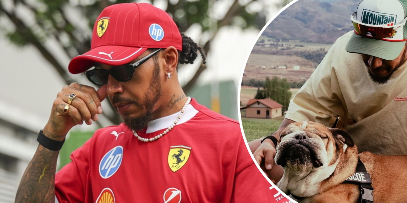Lewis Hamilton von Anteilnahme nach Tod von Hund (†12) überwältigt | Nau.ch