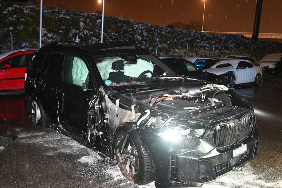 Der Fahrer wurde zur Anzeige gebracht.