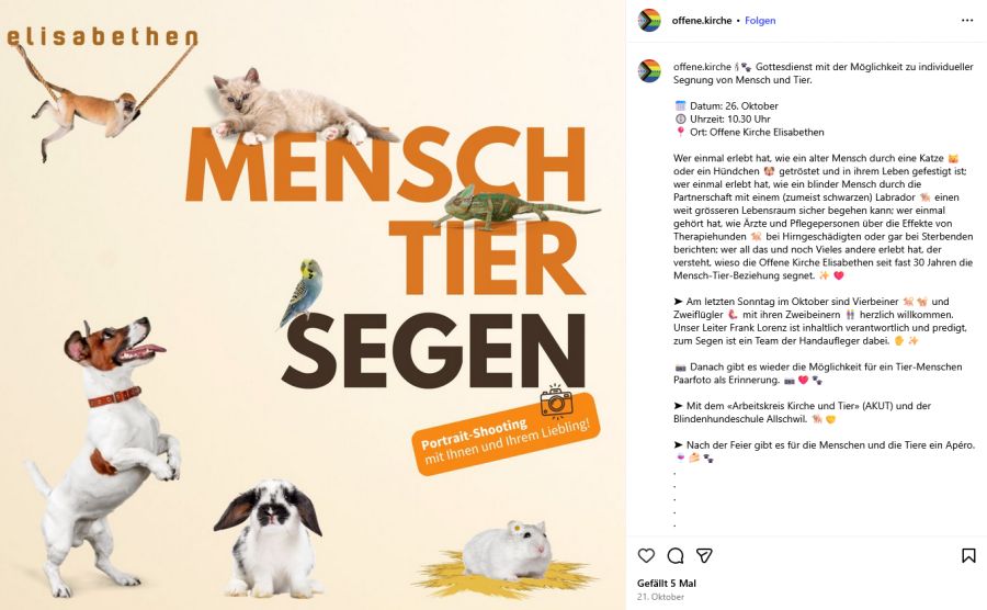 Gottesdienst Segen Haustiere Besucher