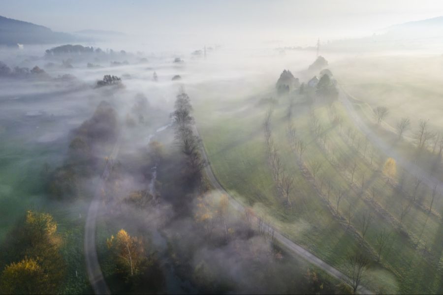 Vorerst bleibt es bewölkt und neblig. (Symbolbild)