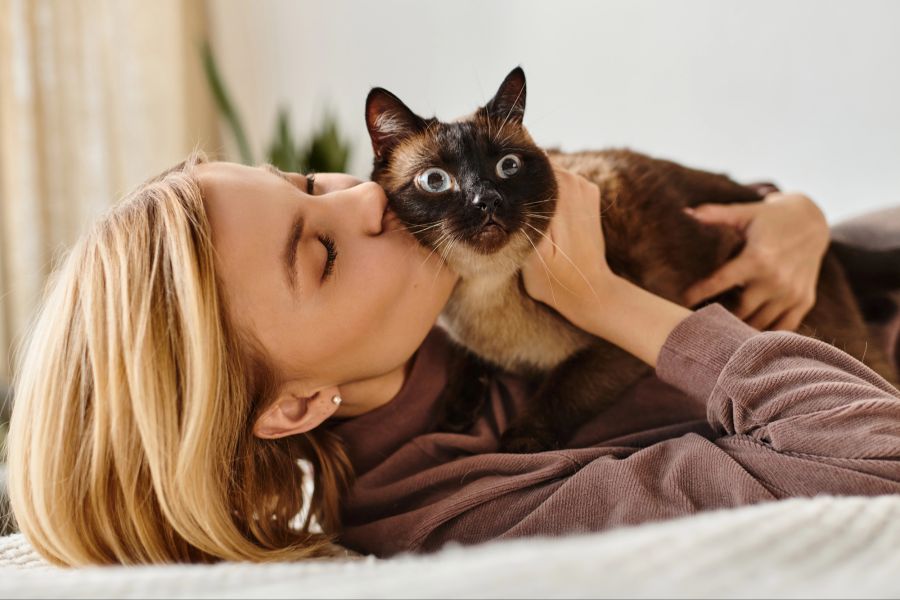 katze verhalten