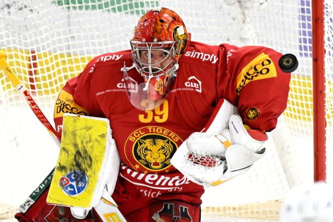 scl tigers